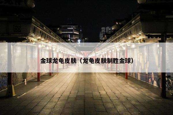 金球龙龟皮肤（龙龟皮肤制胜金球）