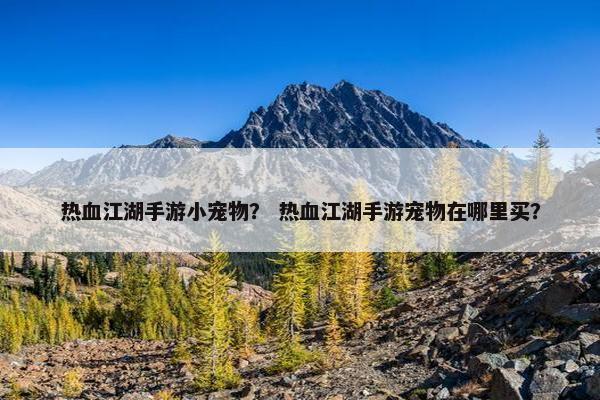 热血江湖手游小宠物？ 热血江湖手游宠物在哪里买？