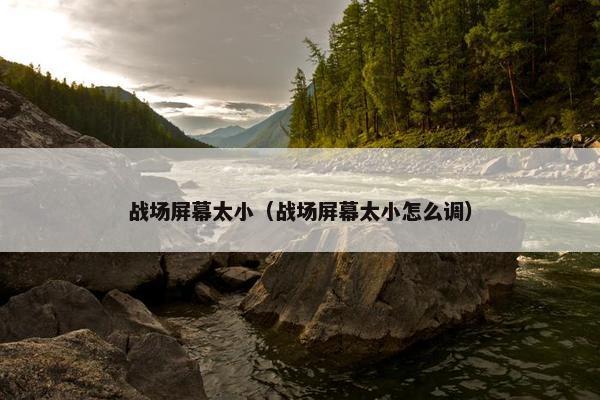 战场屏幕太小（战场屏幕太小怎么调）