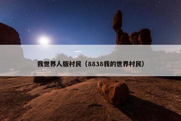 我世界人版村民（8838我的世界村民）