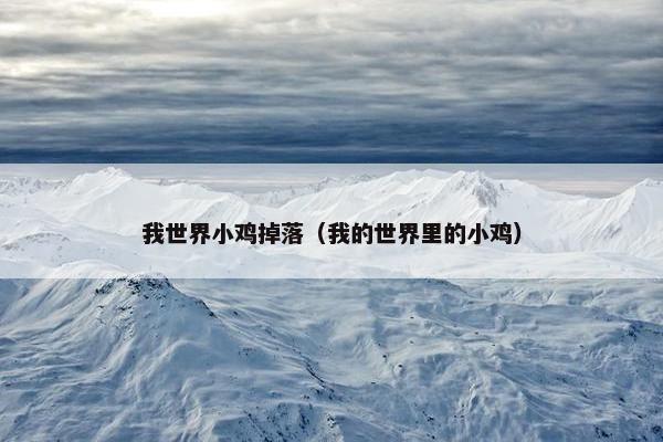 我世界小鸡掉落（我的世界里的小鸡）