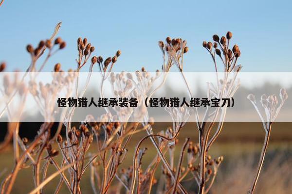 怪物猎人继承装备（怪物猎人继承宝刀）
