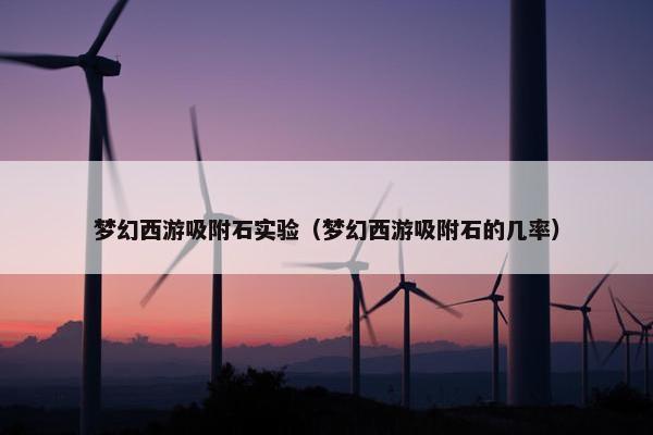 梦幻西游吸附石实验（梦幻西游吸附石的几率）