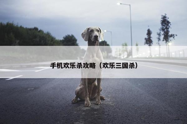 手机欢乐杀攻略（欢乐三国杀）