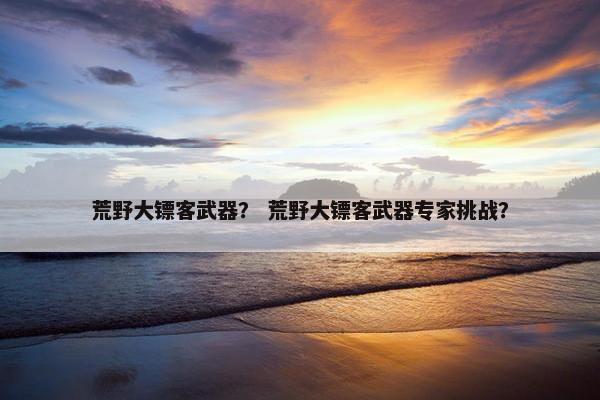 荒野大镖客武器？ 荒野大镖客武器专家挑战？