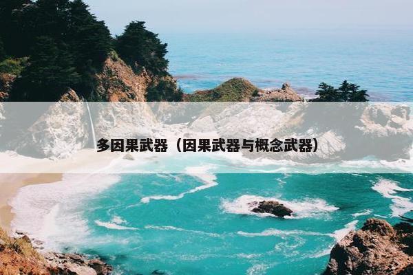 多因果武器（因果武器与概念武器）
