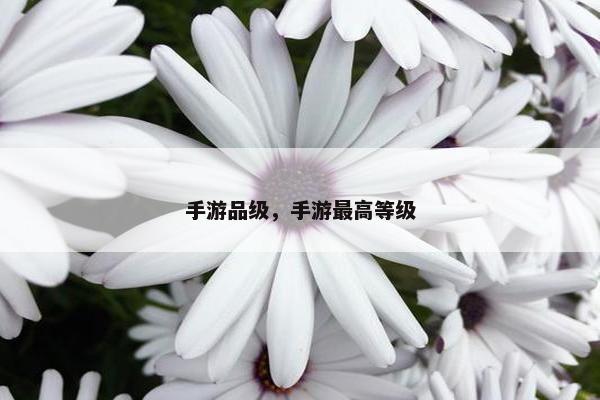 手游品级，手游最高等级