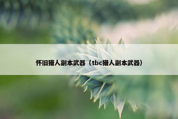 怀旧猎人副本武器（tbc猎人副本武器）
