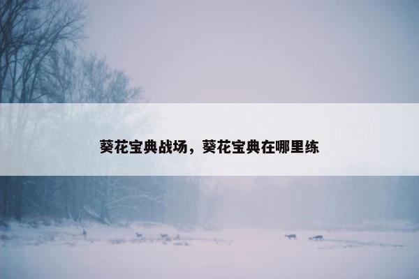 葵花宝典战场，葵花宝典在哪里练