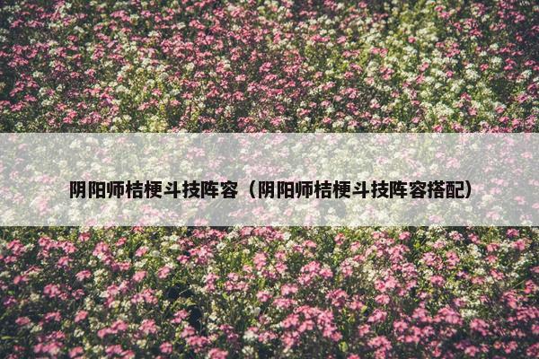 阴阳师桔梗斗技阵容（阴阳师桔梗斗技阵容搭配）