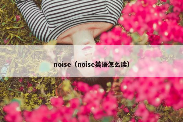 noise（noise英语怎么读）