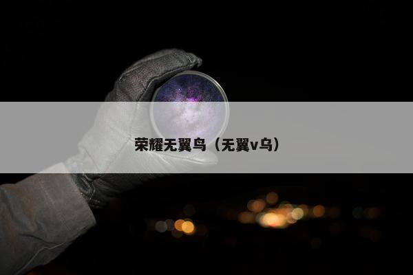 荣耀无翼鸟（无翼v乌）