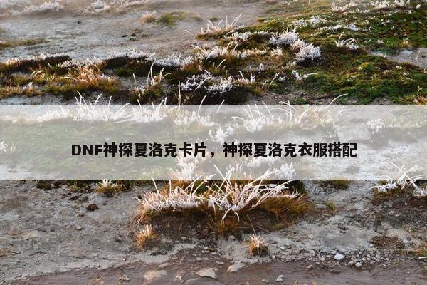 DNF神探夏洛克卡片，神探夏洛克衣服搭配