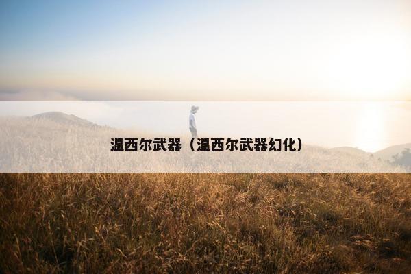 温西尔武器（温西尔武器幻化）