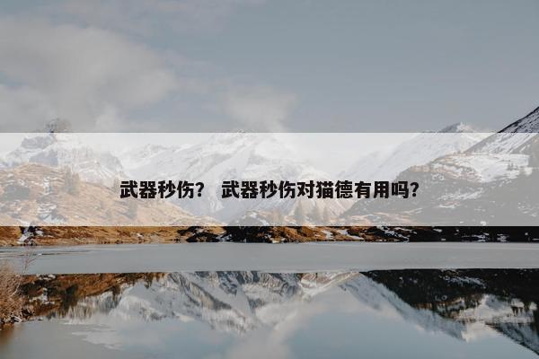 武器秒伤？ 武器秒伤对猫德有用吗？