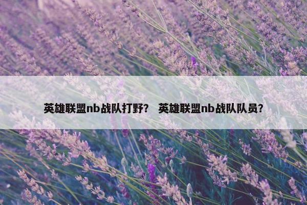 英雄联盟nb战队打野？ 英雄联盟nb战队队员？