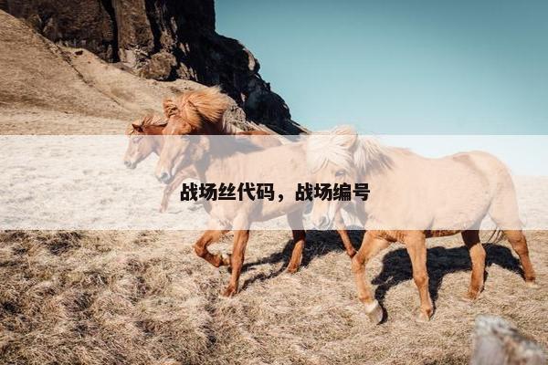 战场丝代码，战场编号