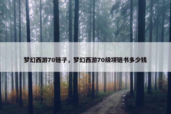 梦幻西游70链子，梦幻西游70级项链书多少钱