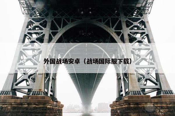 外国战场安卓（战场国际服下载）