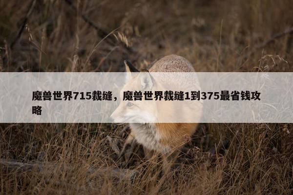 魔兽世界715裁缝，魔兽世界裁缝1到375最省钱攻略