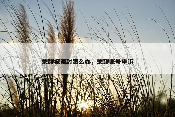 荣耀被误封怎么办，荣耀账号申诉