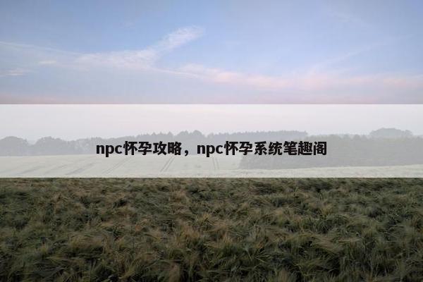 npc怀孕攻略，npc怀孕系统笔趣阁