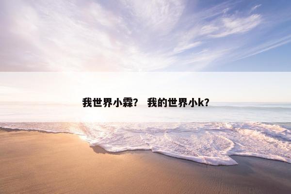 我世界小霖？ 我的世界小k？
