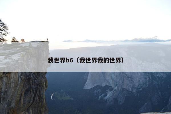 我世界b6（我世界我的世界）