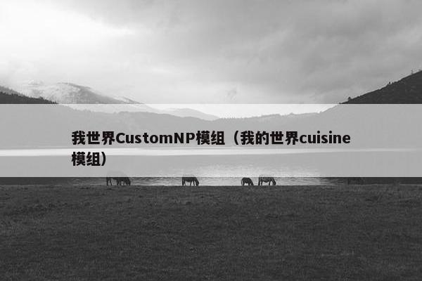 我世界CustomNP模组（我的世界cuisine模组）