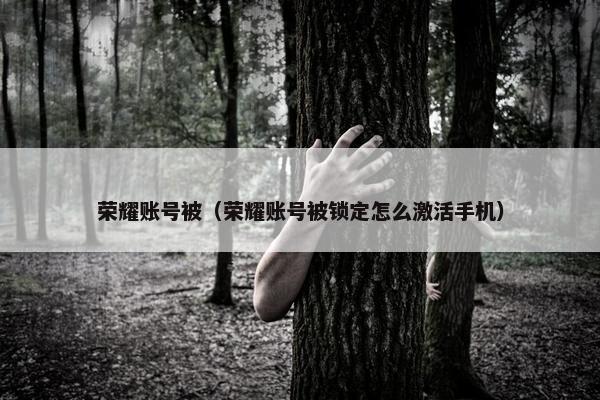 荣耀账号被（荣耀账号被锁定怎么激活手机）