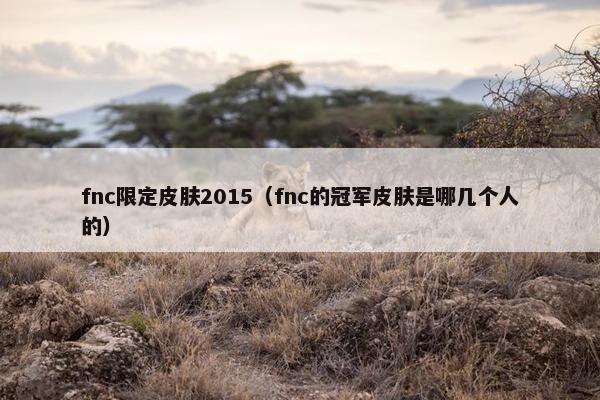 fnc限定皮肤2015（fnc的冠军皮肤是哪几个人的）