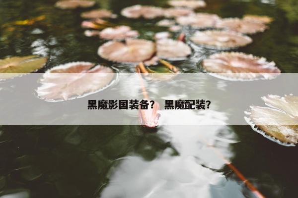 黑魔影国装备？ 黑魔配装？