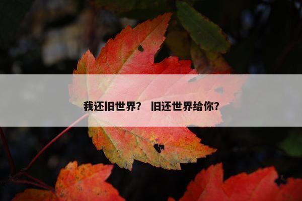 我还旧世界？ 旧还世界给你？