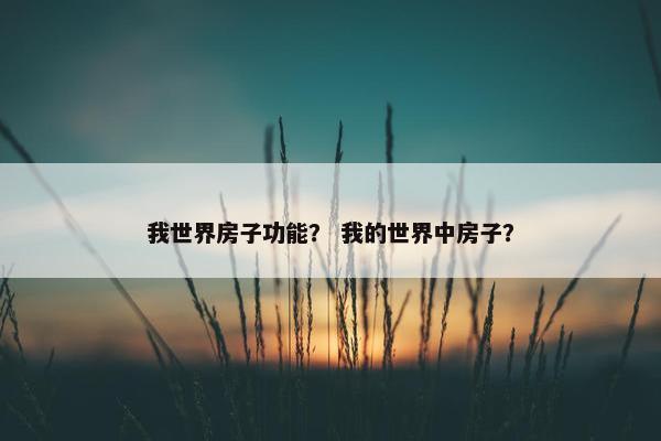 我世界房子功能？ 我的世界中房子？