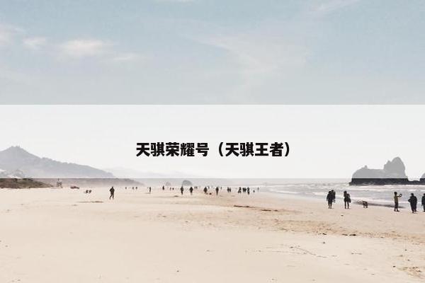天骐荣耀号（天骐王者）