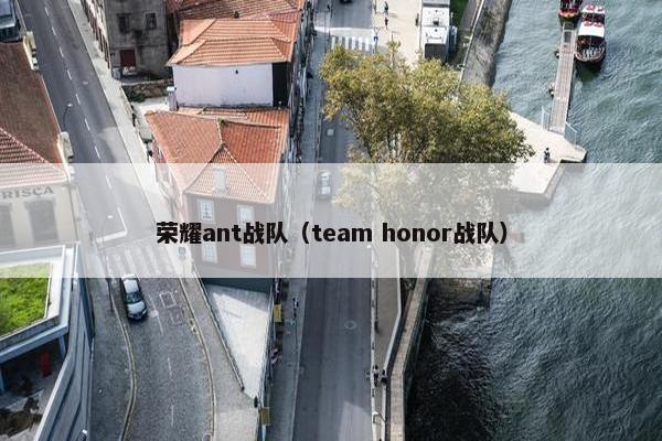 荣耀ant战队（team honor战队）