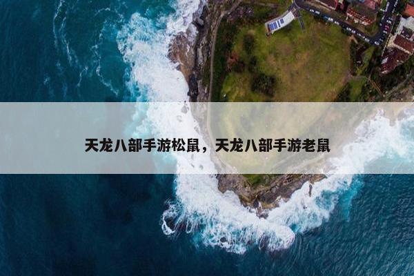 天龙八部手游松鼠，天龙八部手游老鼠