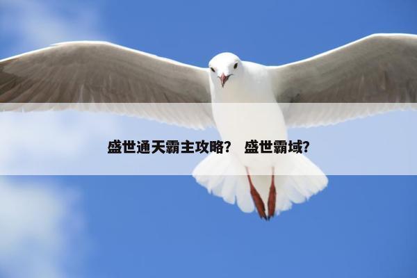 盛世通天霸主攻略？ 盛世霸域？