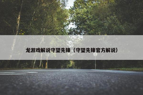 龙游戏解说守望先锋（守望先锋官方解说）