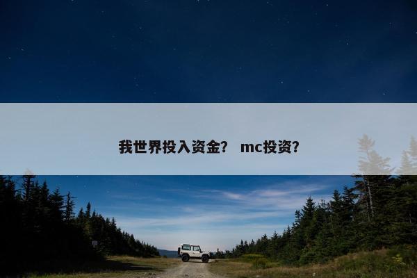 我世界投入资金？ mc投资？