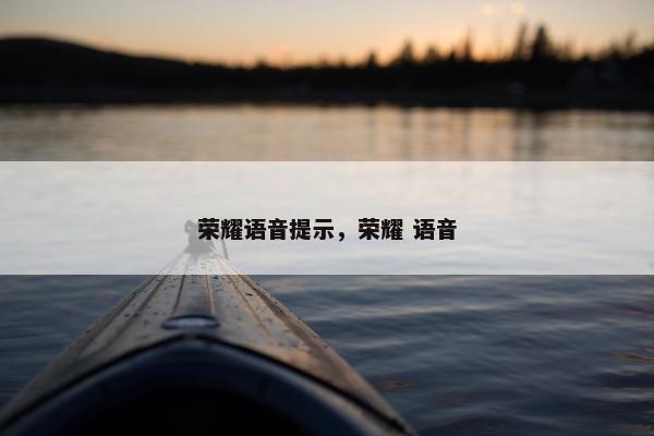 荣耀语音提示，荣耀 语音
