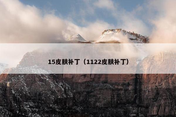 15皮肤补丁（1122皮肤补丁）