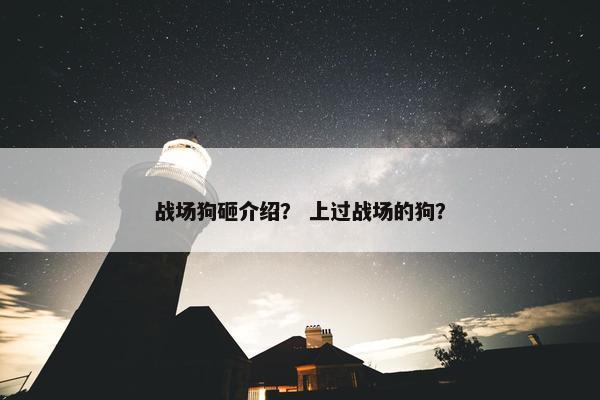 战场狗砸介绍？ 上过战场的狗？