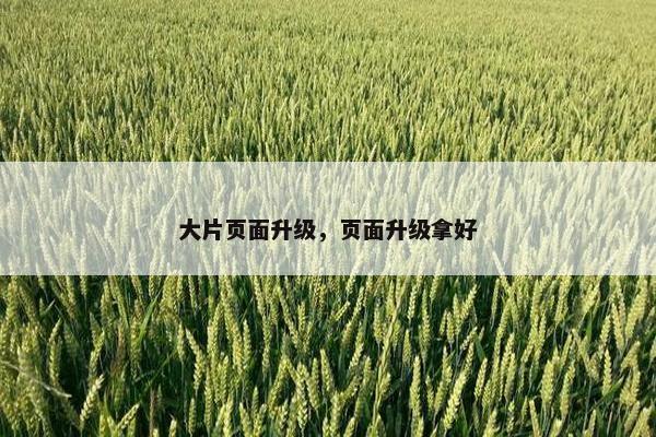 大片页面升级，页面升级拿好