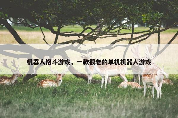机器人格斗游戏，一款很老的单机机器人游戏