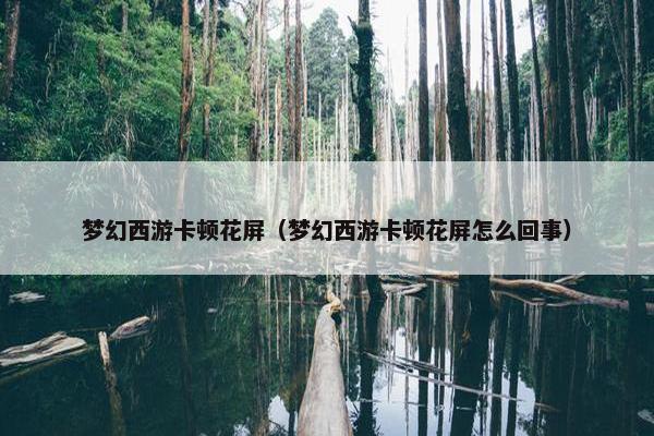 梦幻西游卡顿花屏（梦幻西游卡顿花屏怎么回事）