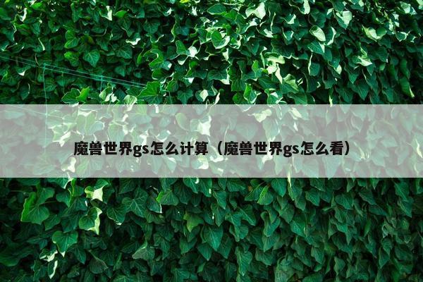魔兽世界gs怎么计算（魔兽世界gs怎么看）