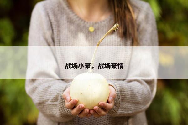 战场小豪，战场豪情