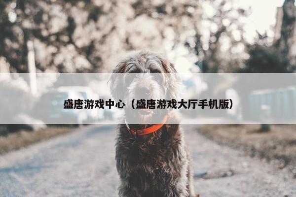 盛唐游戏中心（盛唐游戏大厅手机版）