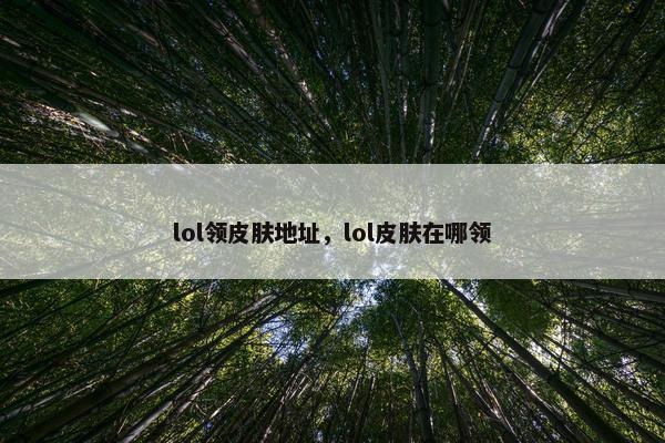 lol领皮肤地址，lol皮肤在哪领